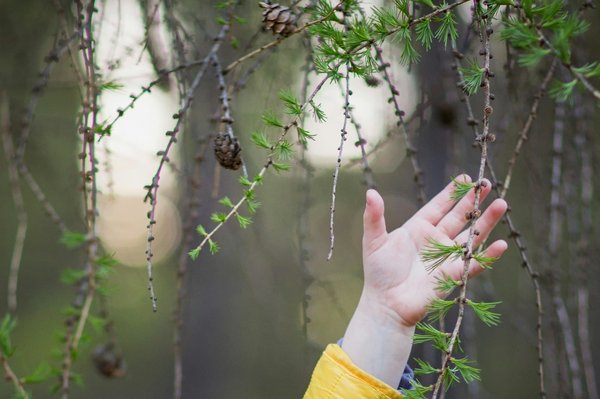 Discover amazing ways to visit the colosseum in rome